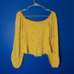 Hollister Cropped & Pleated Blouse